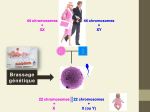 Diapositive5