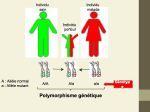 Diapositive7