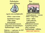 Diapositive19