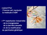 Diapositive24