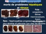Diapositive43