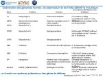 Diapositive17