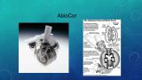 Diapositive65