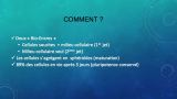 Diapositive91