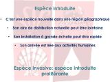 Diapositive02