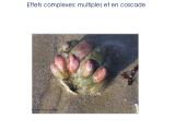 Diapositive43