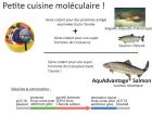 cafe des sciences frankenfish_Page_10