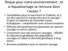 cafe des sciences frankenfish_Page_14