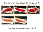 cafe des sciences frankenfish_Page_05