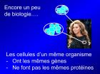 Diapositive10