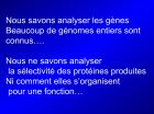 Diapositive11