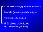 Diapositive21