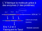 Diapositive29