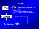 Diapositive07