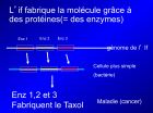 Diapositive15