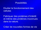 Diapositive19