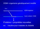 Diapositive07