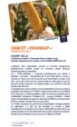 PROGRAMME VERSION WEB ET MAIL.ai