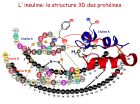 Diapositive38