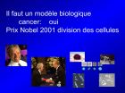 Diapositive23