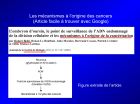 Diapositive35