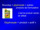 Diapositive04