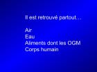 Diapositive06