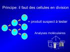 Diapositive27