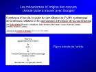 Diapositive31