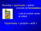 Diapositive04