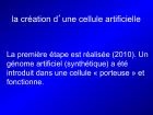 Diapositive32