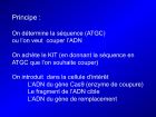 Diapositive40