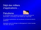 Diapositive44