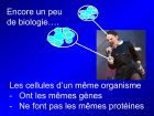 Diapositive09