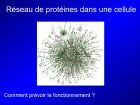 Diapositive13