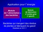 Diapositive19