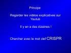 Diapositive29