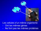 Diapositive04