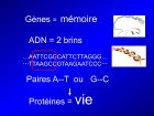 Diapositive05