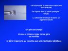 Diapositive22