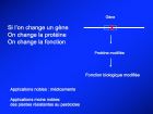 Diapositive07