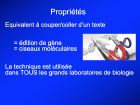 Diapositive14