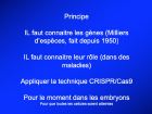 Diapositive16