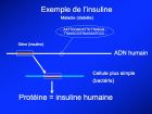 Diapositive10