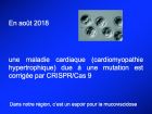 Diapositive31