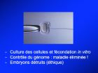 Diapositive32