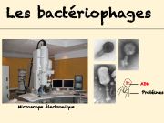Diapositive29