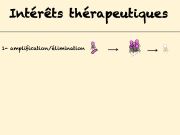 Diapositive33