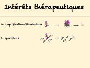 Diapositive34