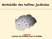 Diapositive45